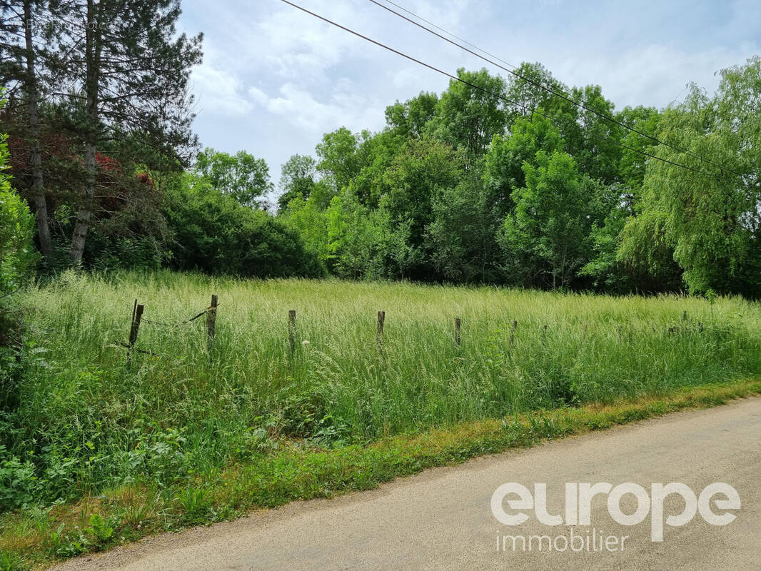 Terrain à SAINT-PERE