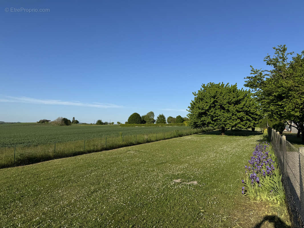 Terrain à BARBEZIEUX-SAINT-HILAIRE