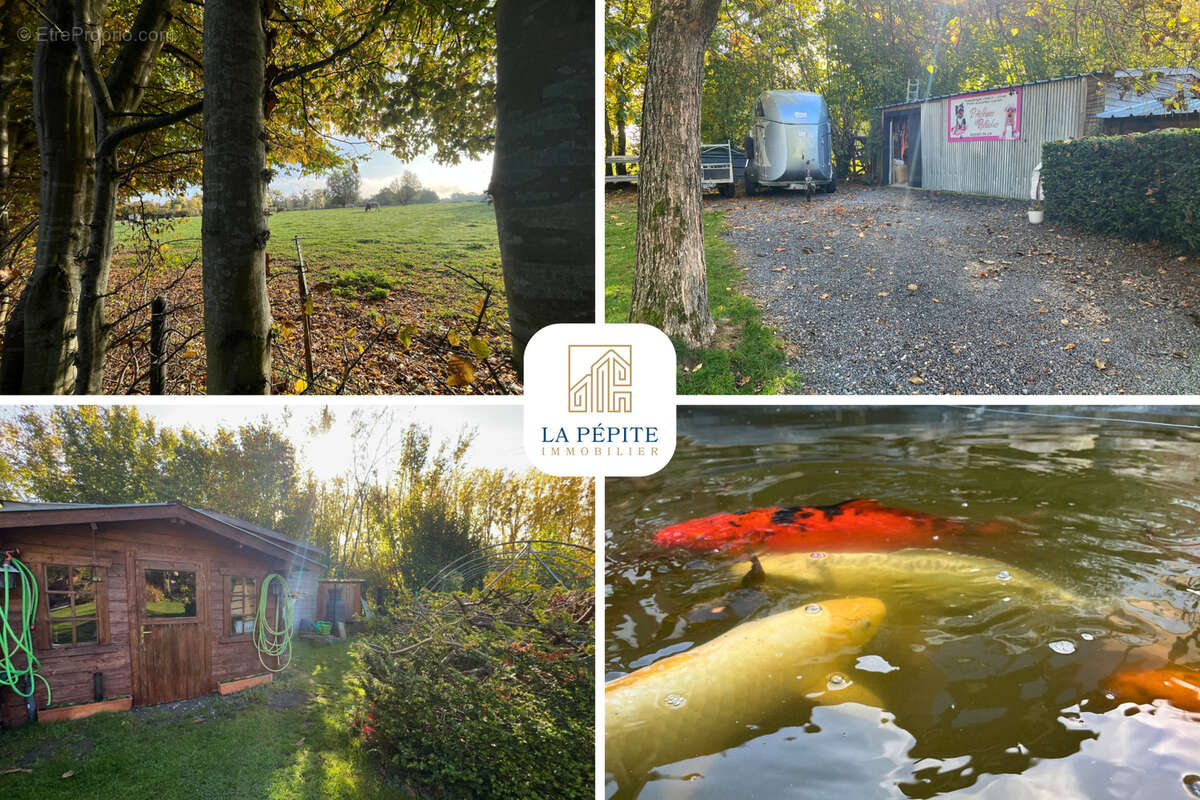 Maison à MECQUIGNIES