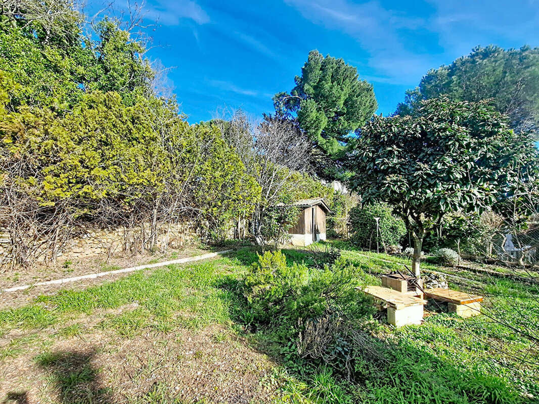 Maison à SAINT-GEORGES-D'ORQUES