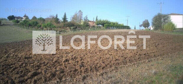 Terrain à MONTBARLA