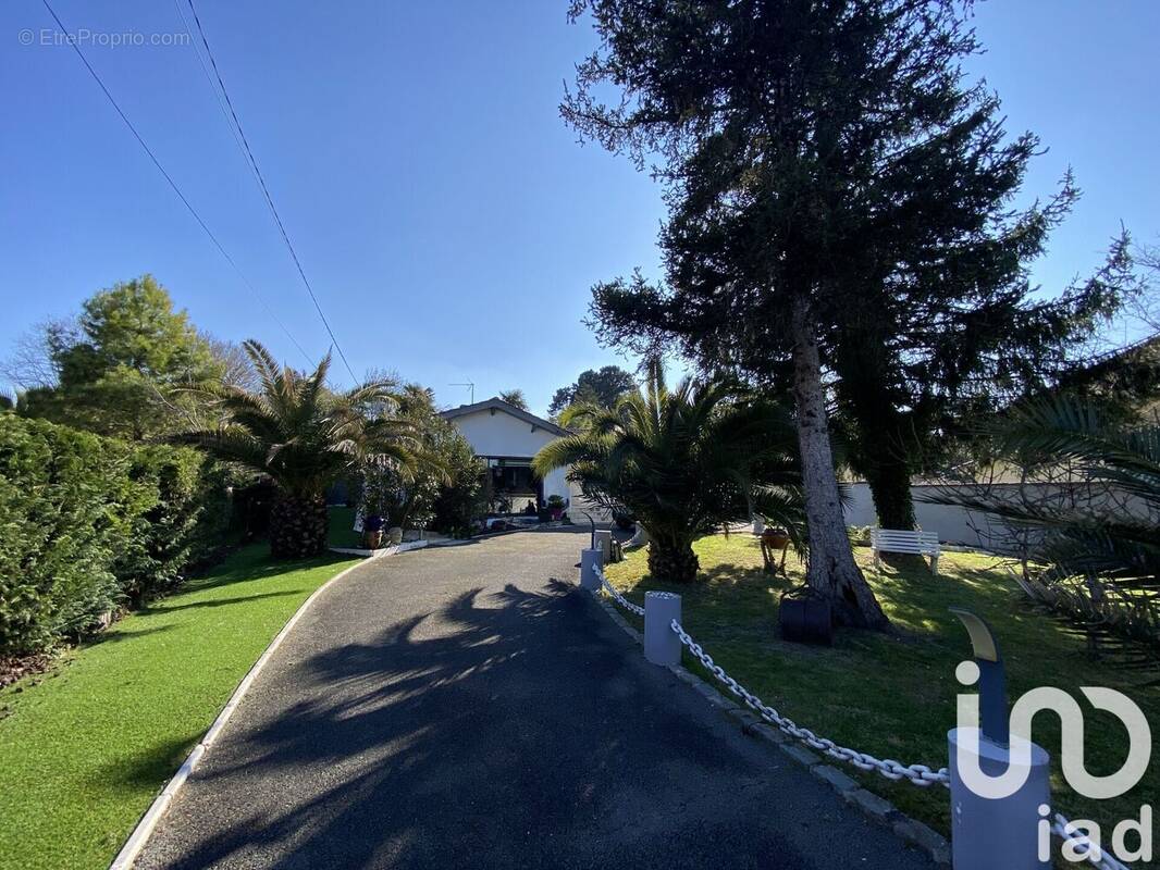 Photo 1 - Maison à EYSINES