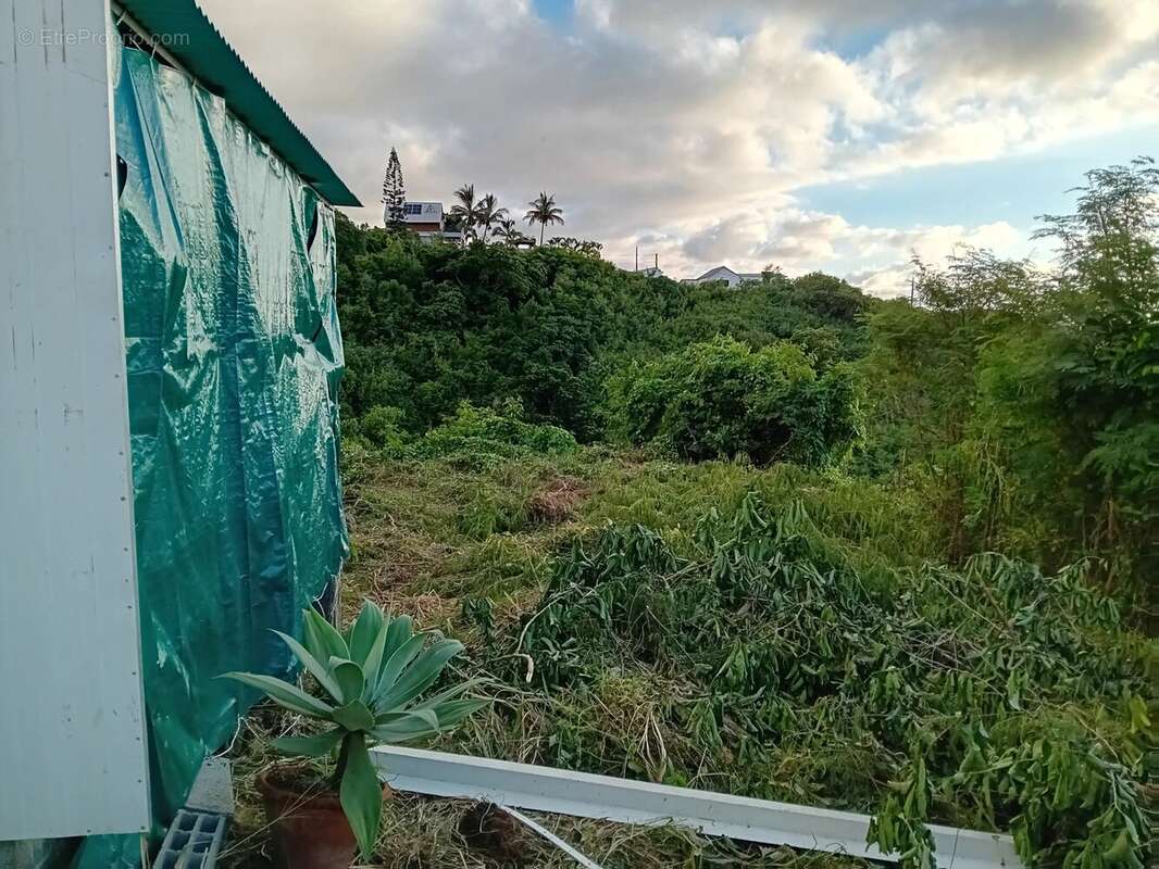 Terrain à SAINT-PAUL