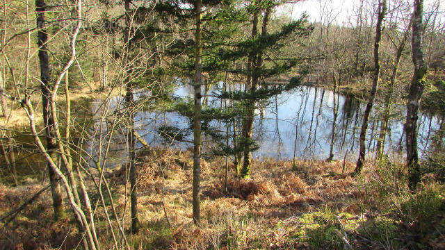 IMG_6098 - Terrain à FAUCOGNEY-ET-LA-MER