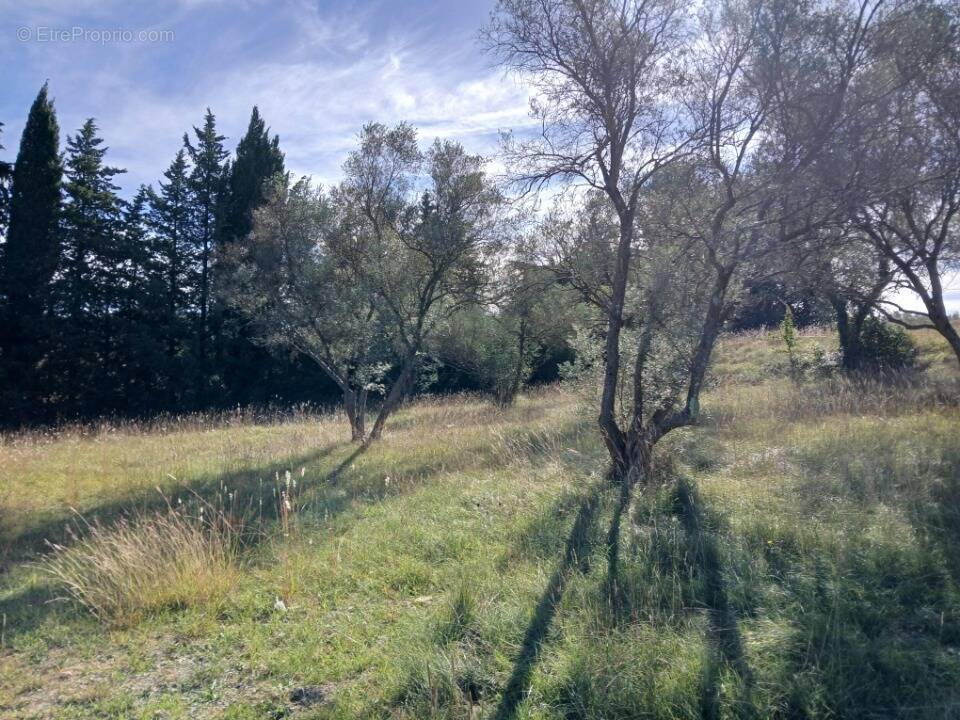 Terrain à VALFLAUNES