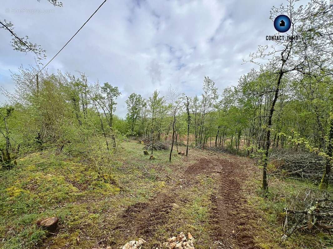 Terrain à LA DORNAC