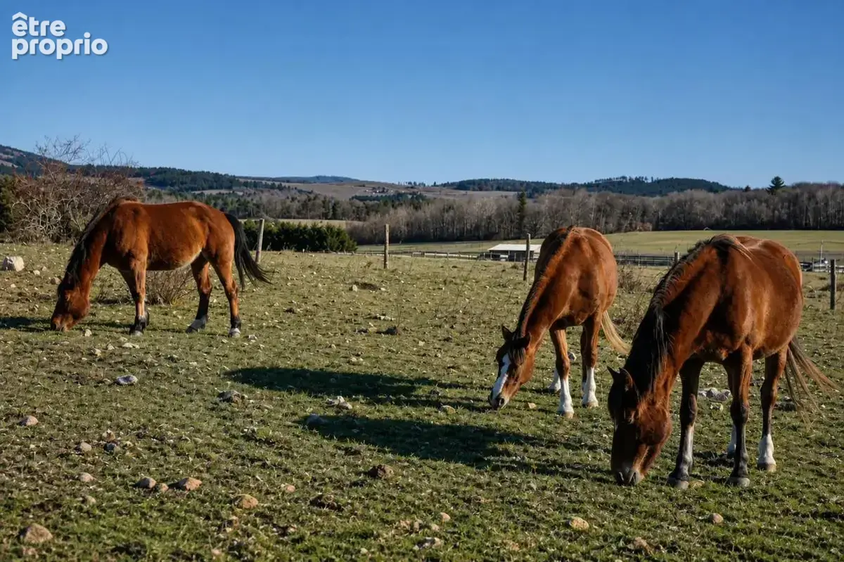Propriété de 15 pièces de 400 m² à Revest-du-Bion - photo 15