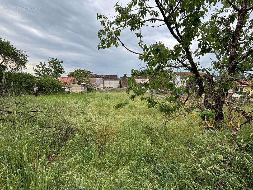 Terrain à COGNAC