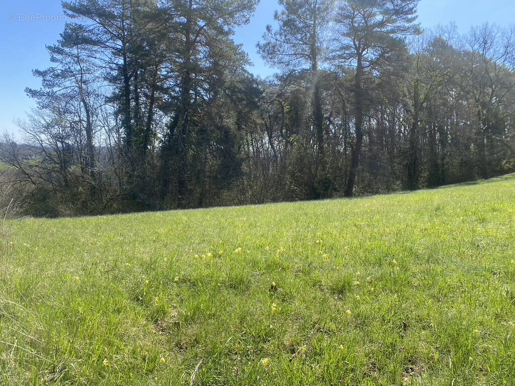 Terrain à SARLAT-LA-CANEDA