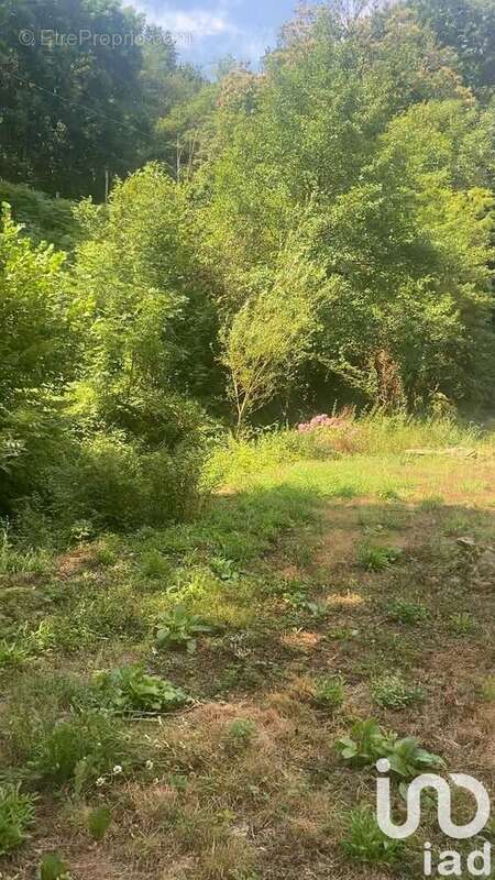 Photo 6 - Maison à LACAZE