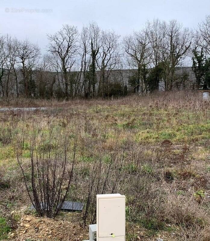 Terrain à SAINT-PERE-EN-RETZ