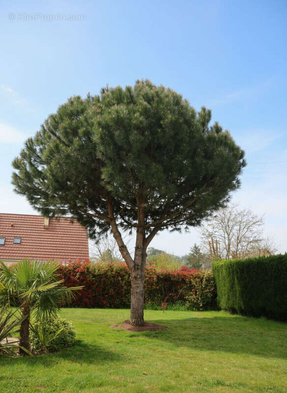 Maison à MENESTREAU-EN-VILLETTE