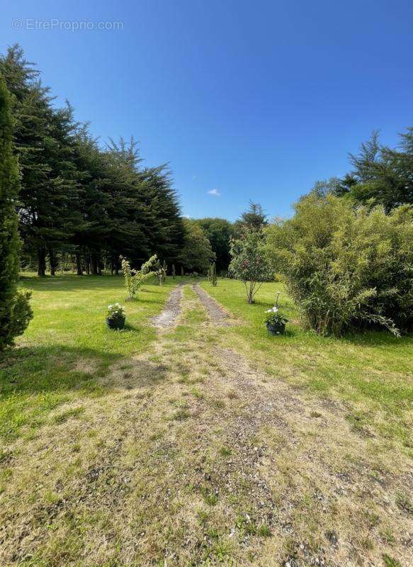 Propriété à vendre saint nicolas du pelem (22) - photo 42