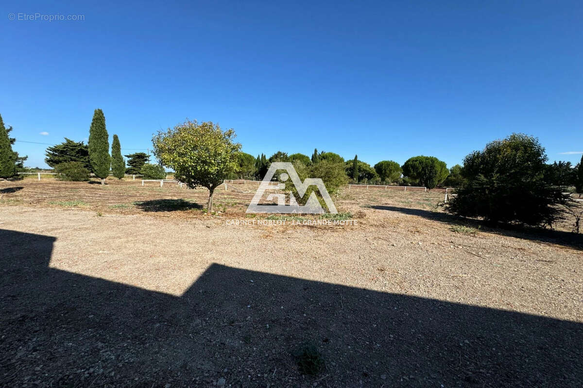 Terrain à SAINT-LAURENT-D&#039;AIGOUZE