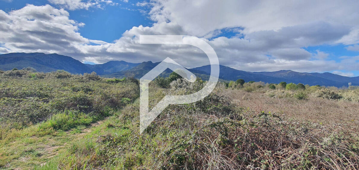 Terrain à SAINT-ANDRE