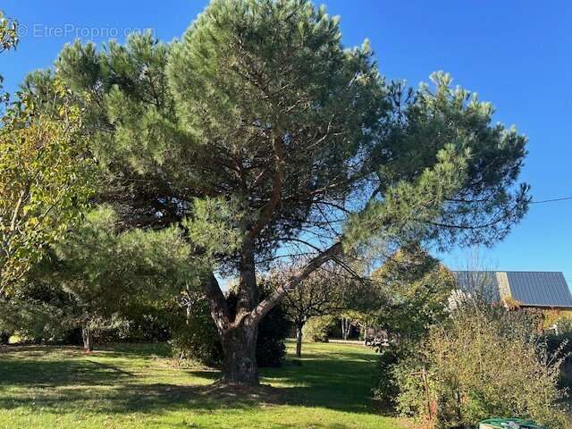 Maison à MONDOUBLEAU