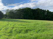 Terrain à DROUE-SUR-DROUETTE