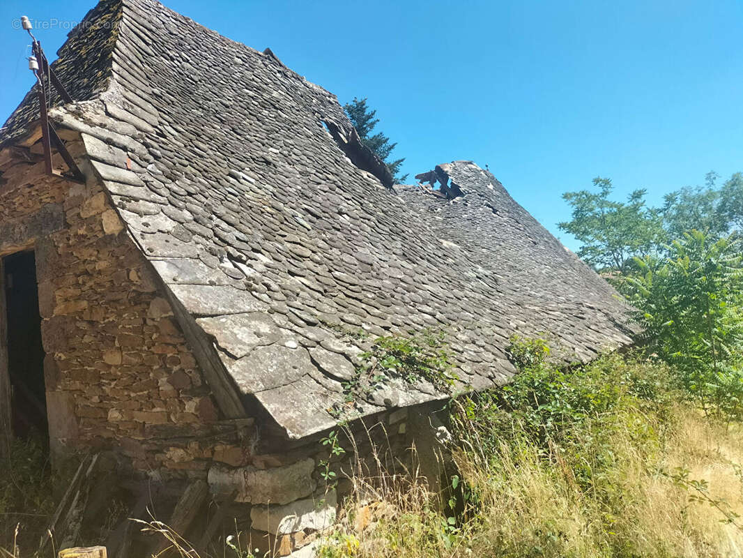 Maison Taussac 2 pièce(s) 250 m2 - photo 3