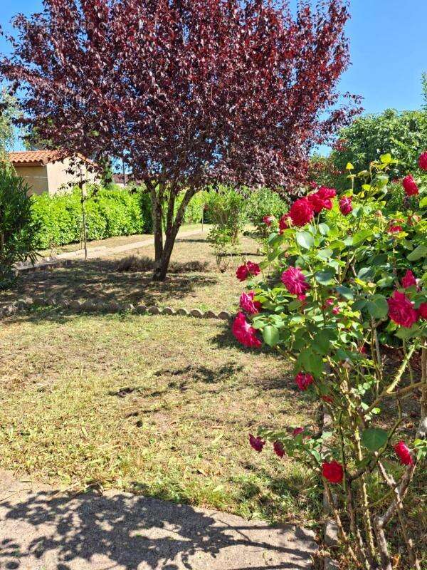 Charmante maison des années 30 – Albi - photo 16