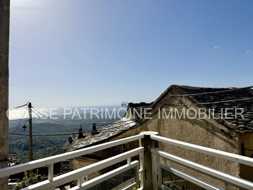 Maison à SANT'ANDREA-DI-COTONE