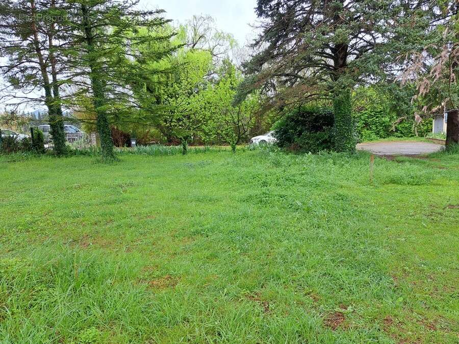 Terrain à VERNEGUES