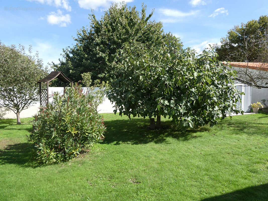 Maison à SAINT-PERE-EN-RETZ