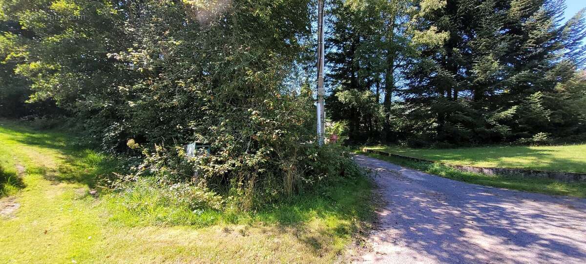 Terrain 1528 m² à Saint-Die-Des-Vosges  - photo 6