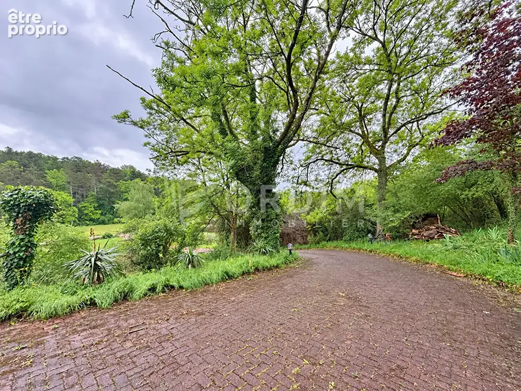 Maison Epineuil - photo 13