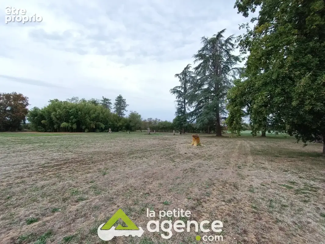 Maison 3 chambres sur près d'un hectare de terrain - photo 6