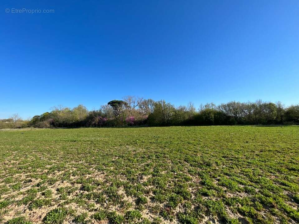 Terrain à LABASTIDE-D'ANJOU