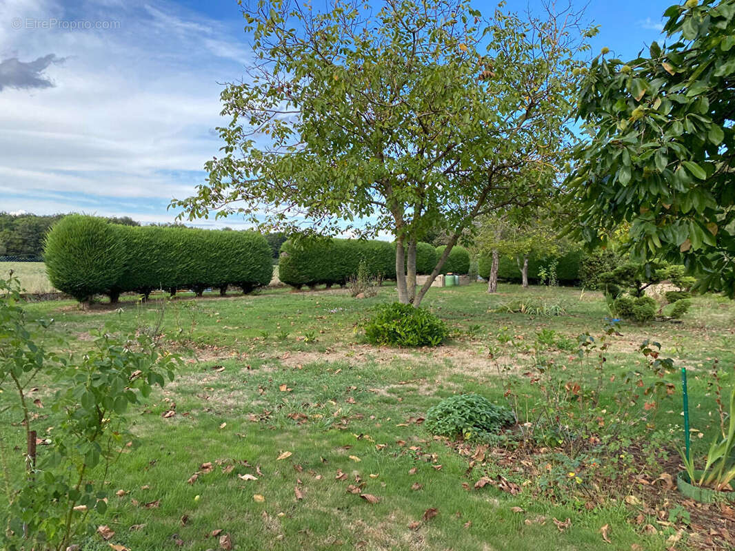 Maison à SAINT-PIERRE-LES-ETIEUX
