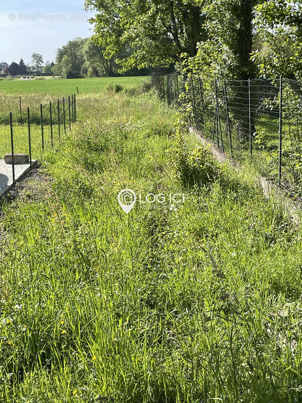 Terrain à ARTIGUELOUTAN
