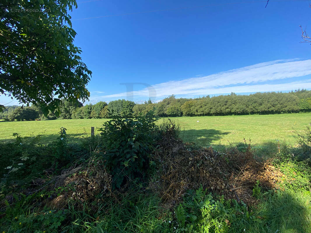 Maison à JUVIGNY-SOUS-ANDAINE