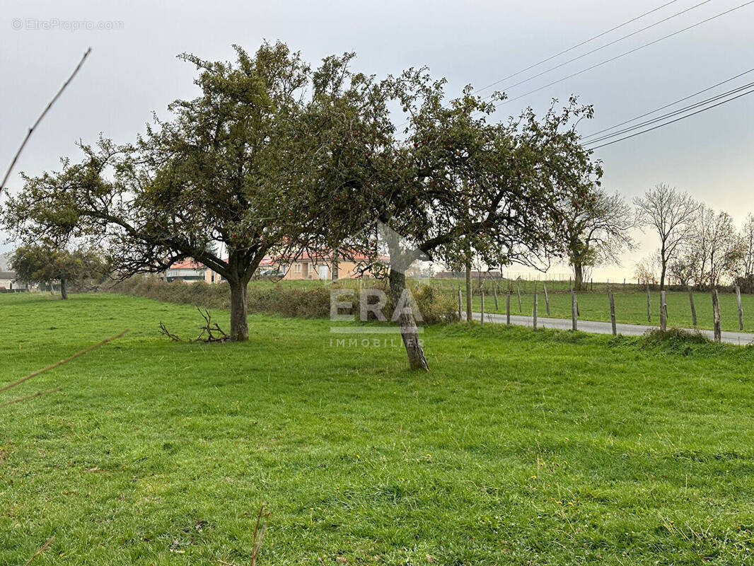 Terrain à VILLECHENEVE