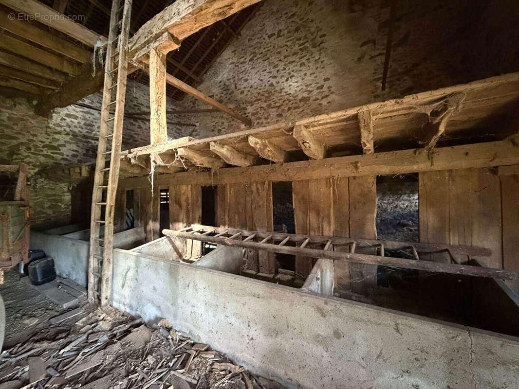Maison à SAINT-AMAND-MAGNAZEIX
