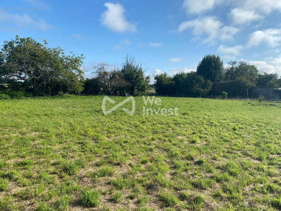 Terrain à SARGE-LES-LE-MANS