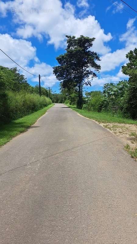Terrain à PETIT-CANAL