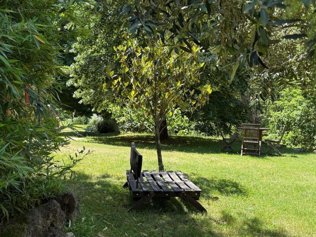 Sud ardeche - photo 13