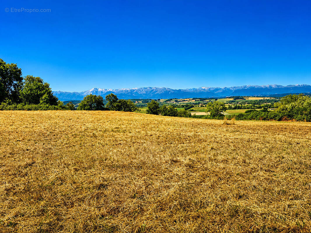 Terrain à ANDOINS