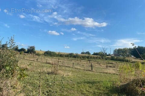 Belle ferme gersoise à restaurer terre 4 ha - photo 17
