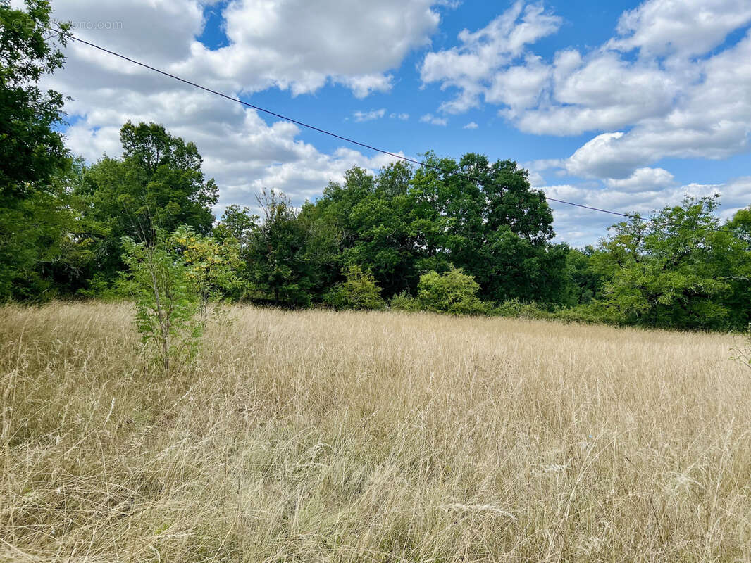 Maison à PROMILHANES