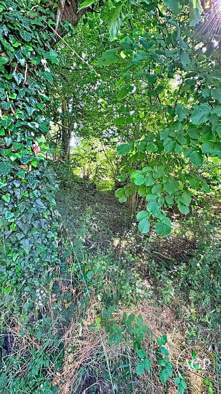 Terrain à SAINT-PATRICE