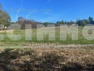 Terrain à QUINT-FONSEGRIVES