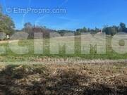 Terrain à QUINT-FONSEGRIVES