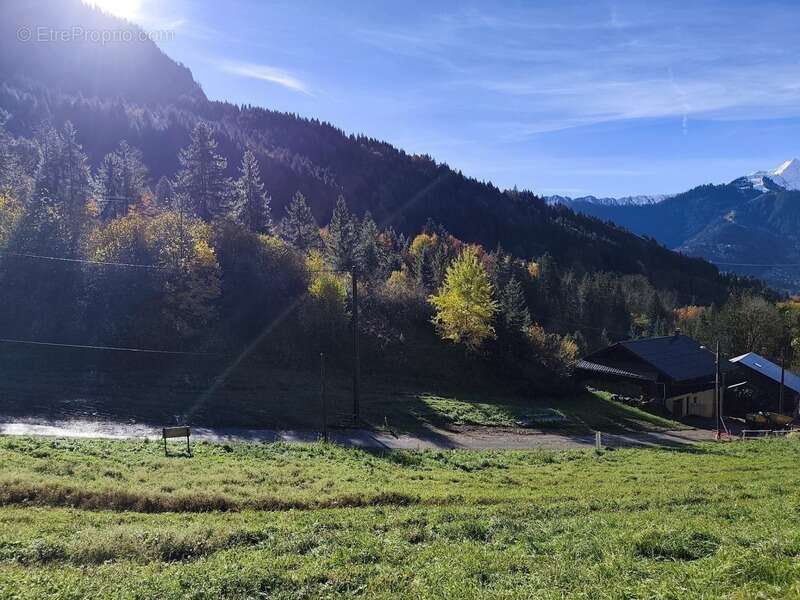 Terrain à SAINT-JEAN-D&#039;AULPS