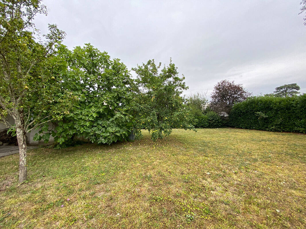 Maison à JOUE-LES-TOURS