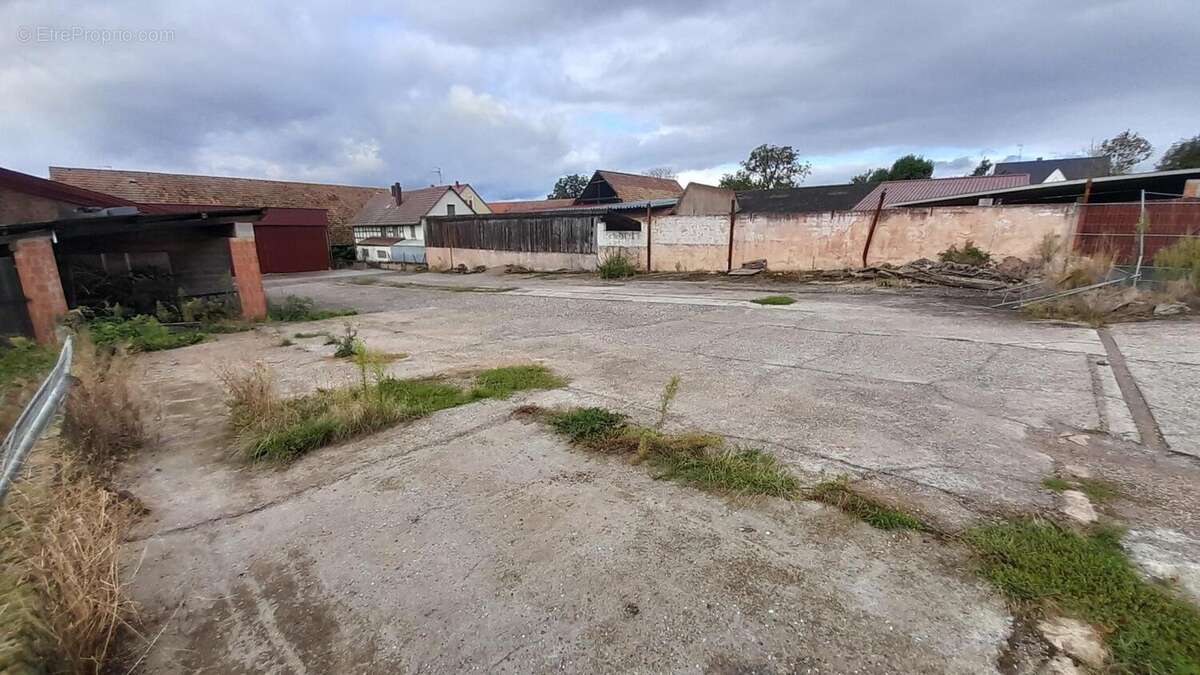 Photo 9 - Terrain à MITTELSCHAEFFOLSHEIM