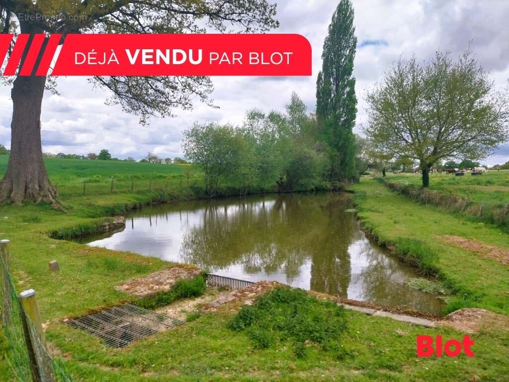 Terrain à CHATEAUBOURG