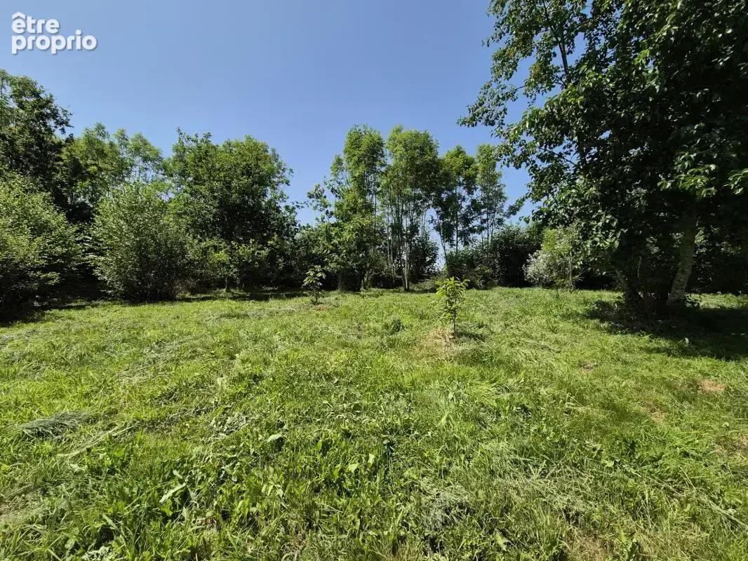 Charmante Maison Bretonne avec Jardin - photo 11