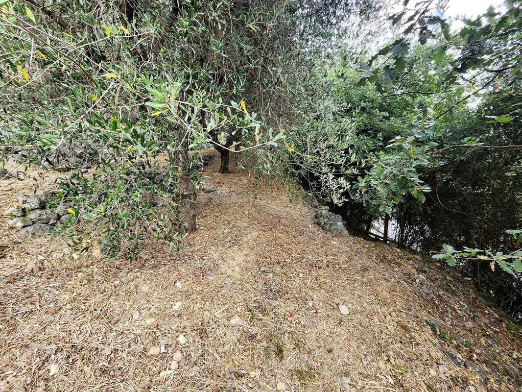 Photo 2 - Terrain à GATTIERES